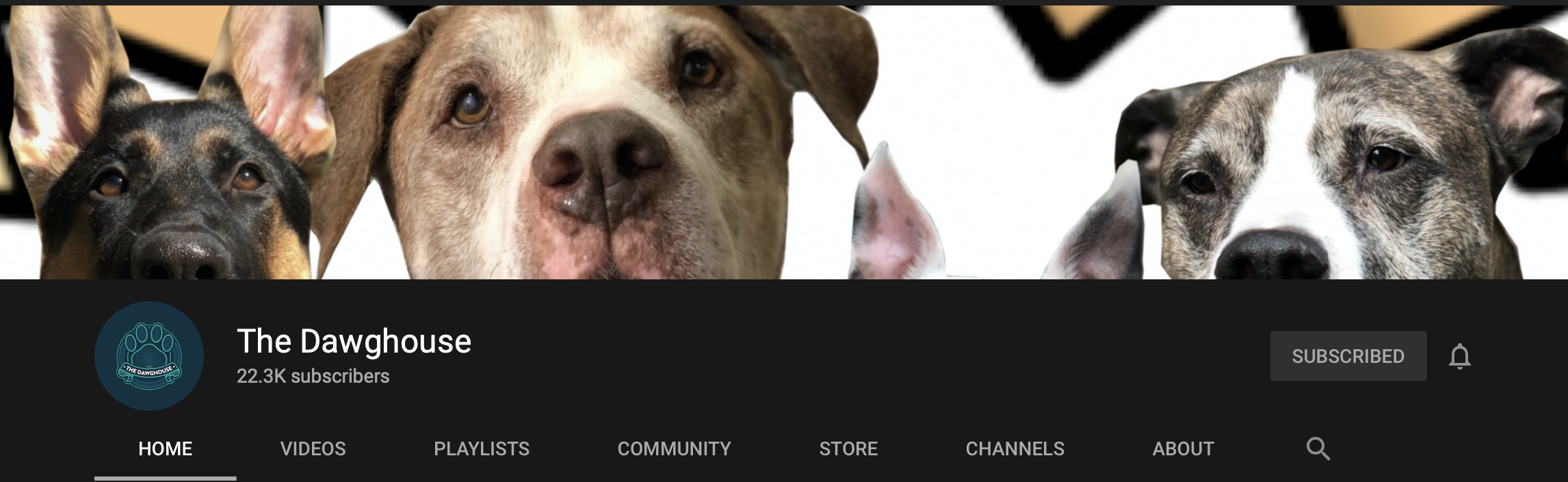 The Dawg House YouTube Channel