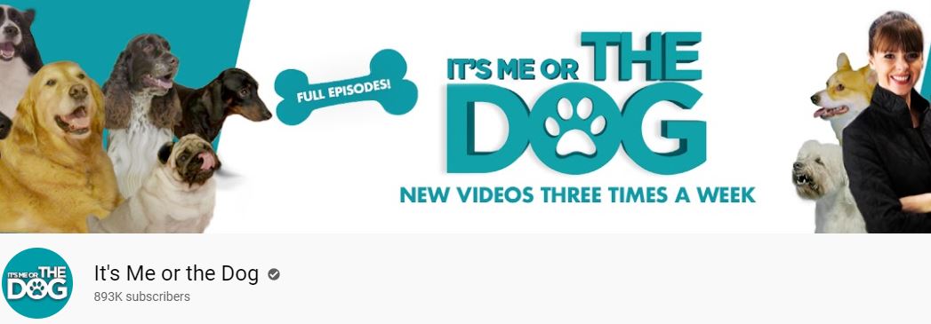 Its Me Or The Dog Youtube Channel