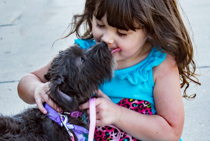 dog licking girl